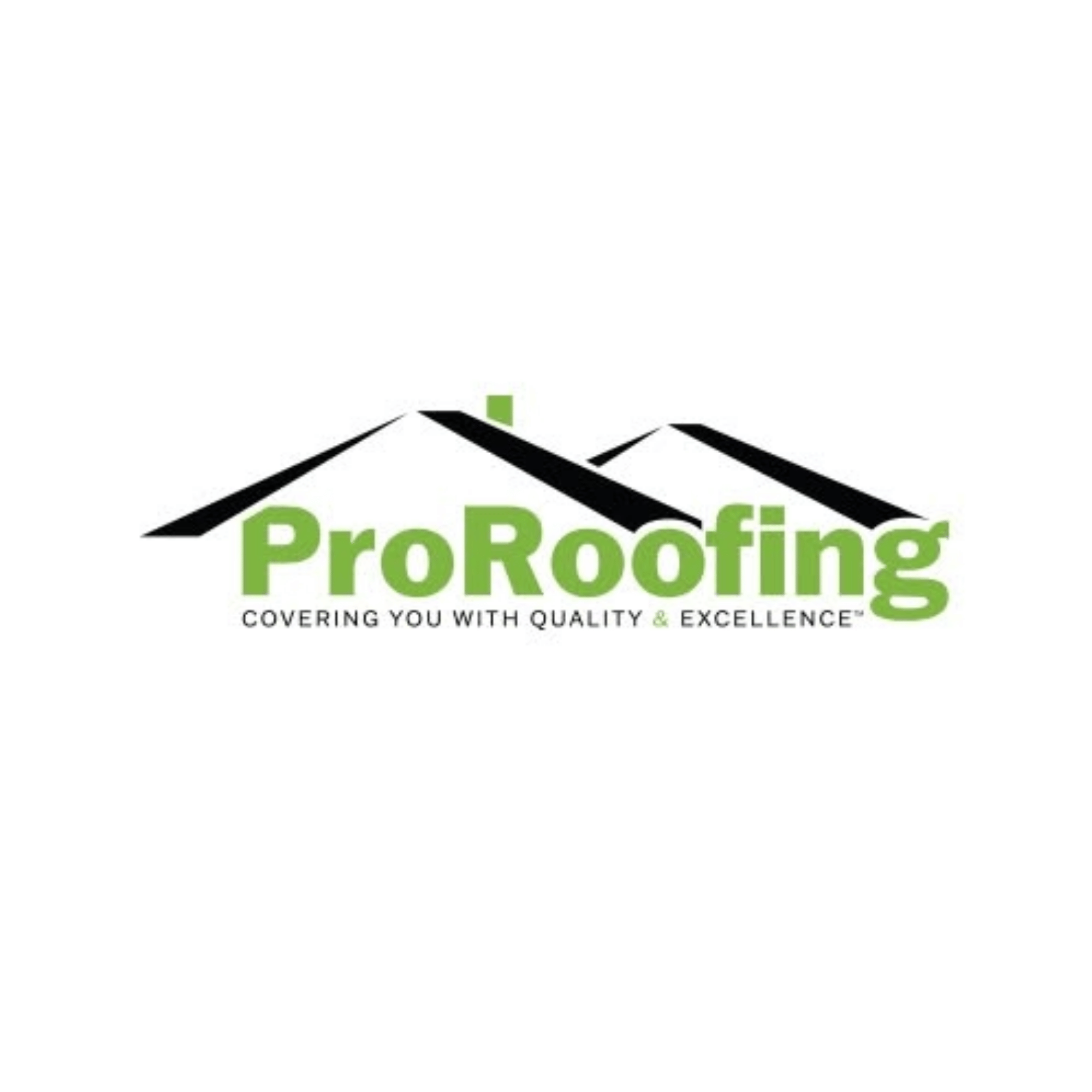 Pro Roofing NW logo